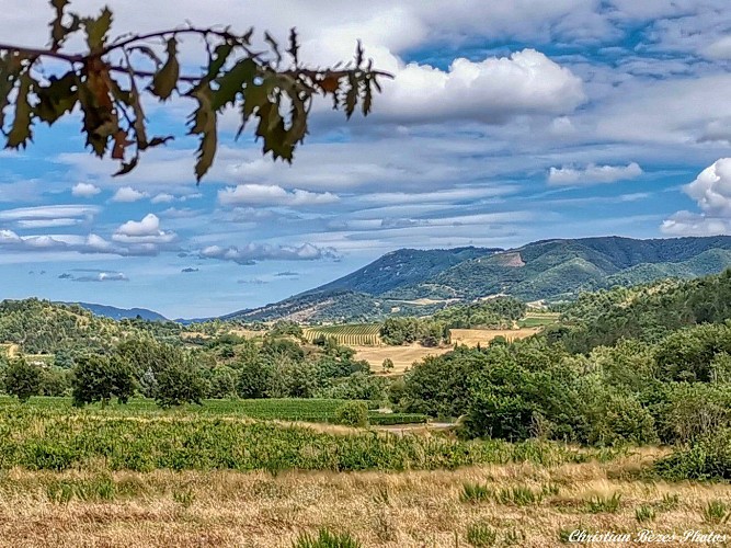 Entre Magrie et Cournanel-Chemin des cabanes