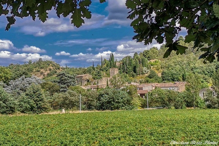 Entre Magrie et Cournanel-Chemin des cabanes
