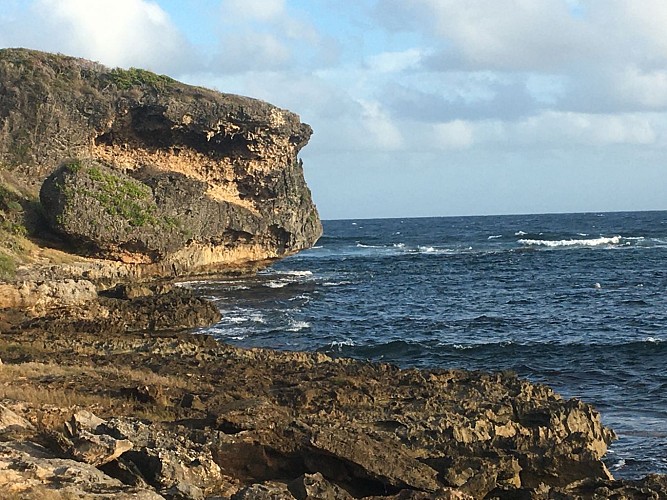 littoral Anse a la Gourde / Anse Baie Olive