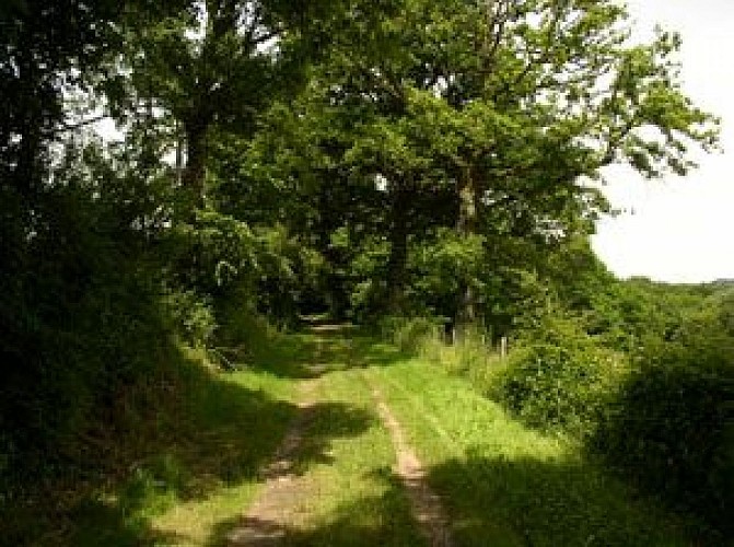 Sentier de l'étang des landes