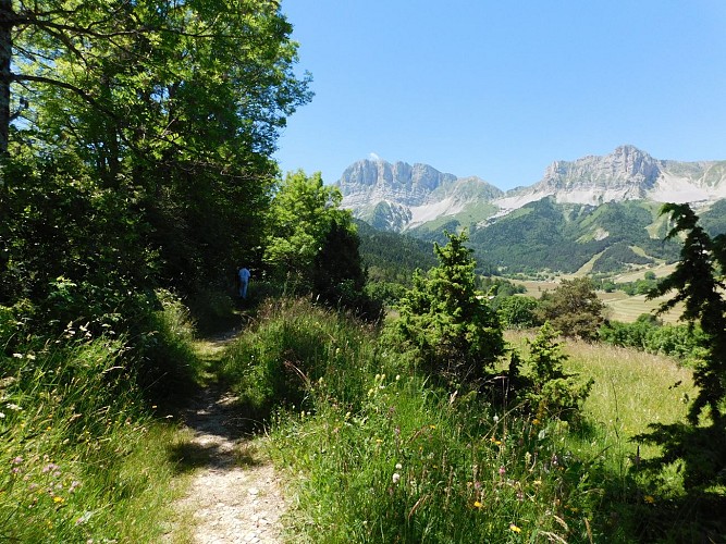 Le col de l'Allimas