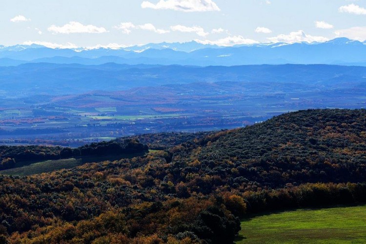 Cailhau-sentier Achille Laugé