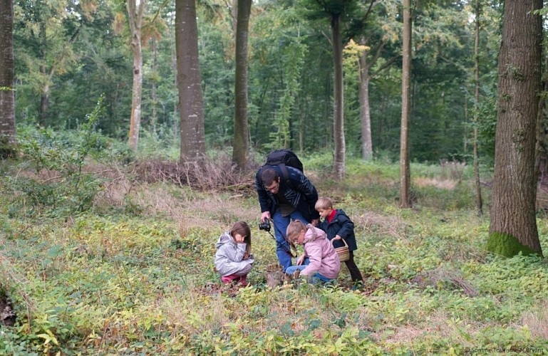 Les circuits en forêt de Crécy