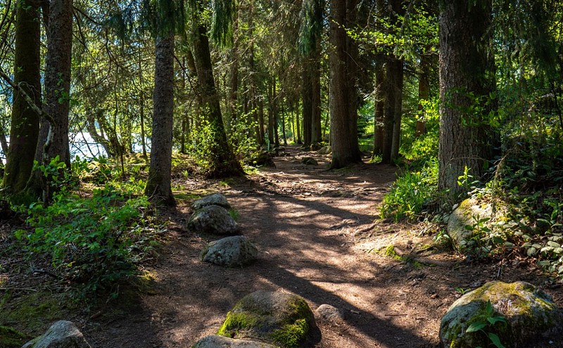 TOUR DU LAC DE LONGEMER - WANDERUNG