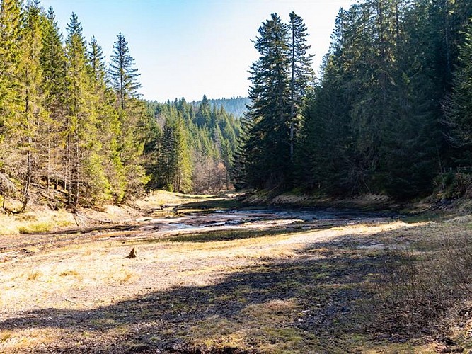 LA TOURBIÈRE DE BELBRIETTE - WANDERUNG