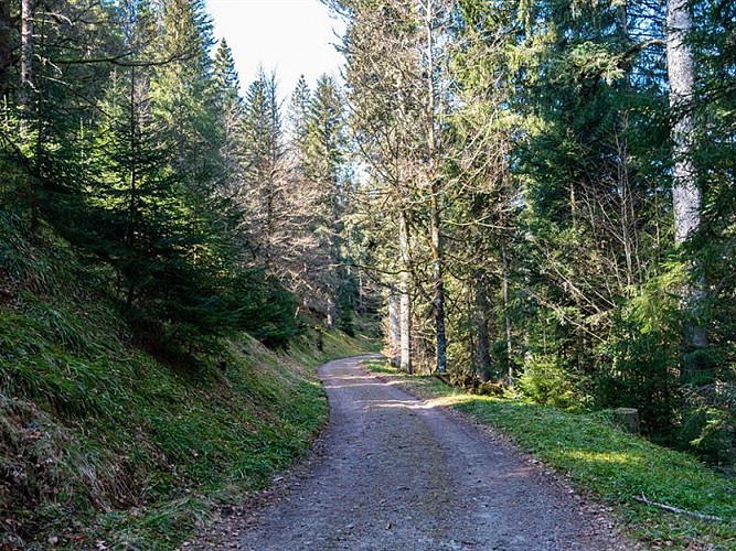 LA TOURBIÈRE DE BELBRIETTE - WANDERUNG