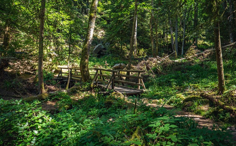 Trou de l'enfer - wandeling