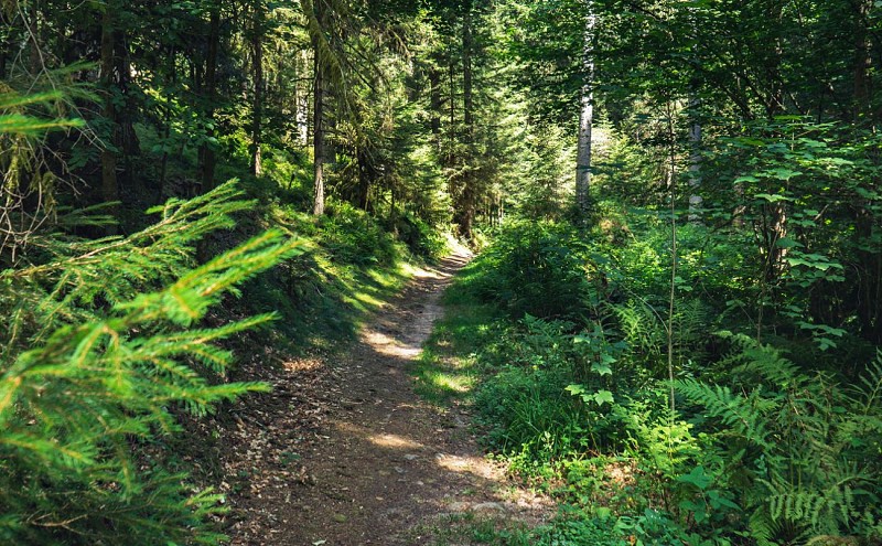 Trou de l'enfer - wandeling