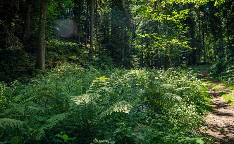 Trou de l'enfer - wandeling