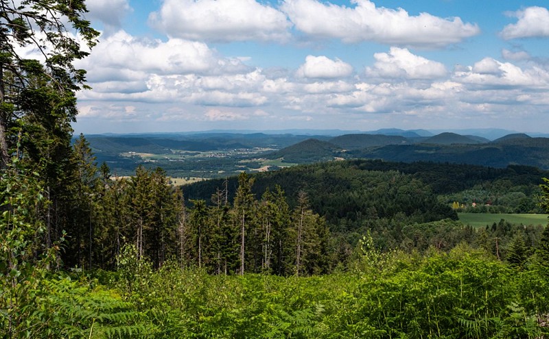 LE SPIÉMONT - WANDERUNG