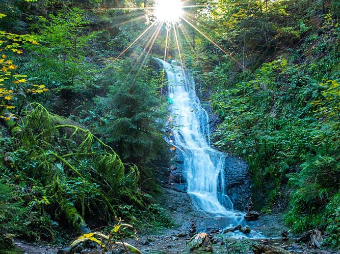 SAUT DE LA BOURRIQUE - WALK