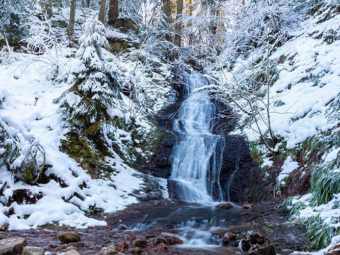 SAUT DE LA BOURRIQUE - WALK