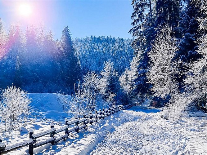 SAUT DE LA BOURRIQUE - WALK