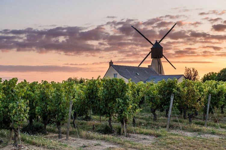 CIRCUIT VTT COMBINÉ N°52 + N°53