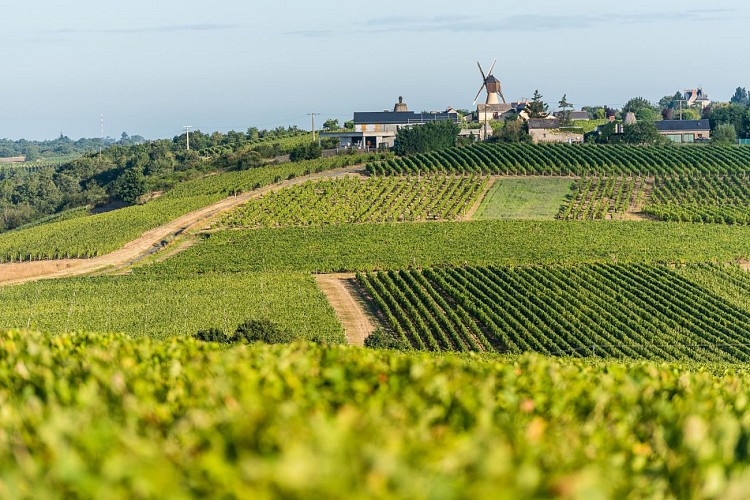 CIRCUIT VTT COMBINÉ N°52 + N°53