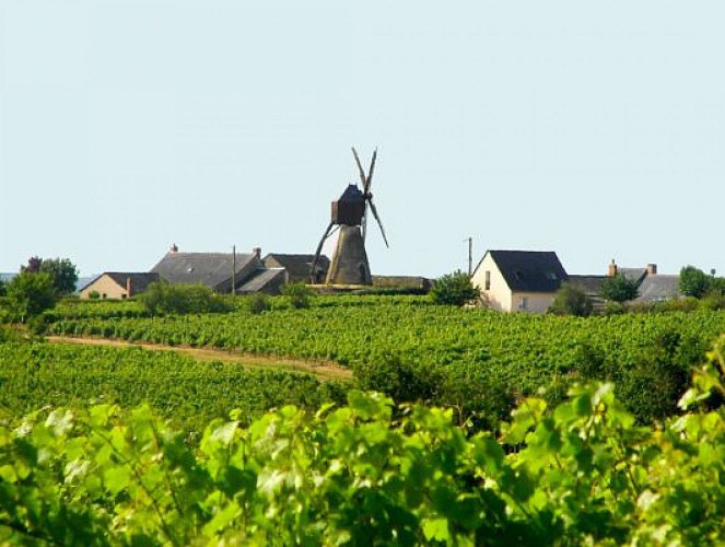 CIRCUIT VTT COMBINÉ N°52 + N°53