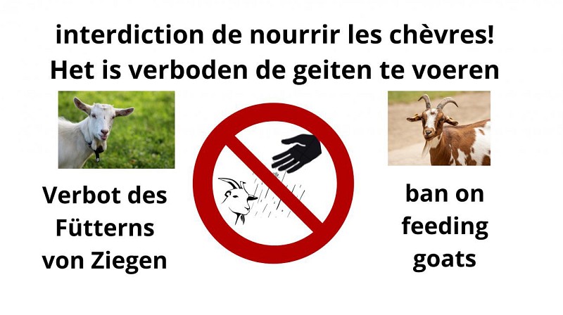 Wandeling naar de 'Bec du Corbeau"