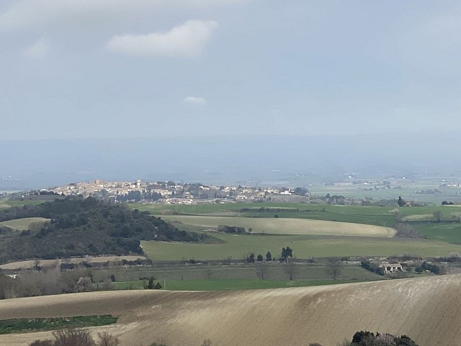 Le bois de la Hille et du Mont Carrière à Fanjeaux