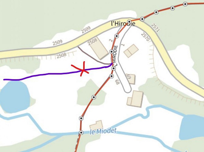 Détail du chemin à L'Hirodie