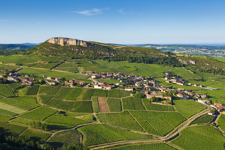 aurélien ibanez (11)