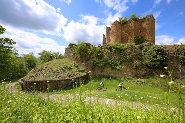 GR² - Van Orval tot Verviers, de prachtige Ardennen (terug)