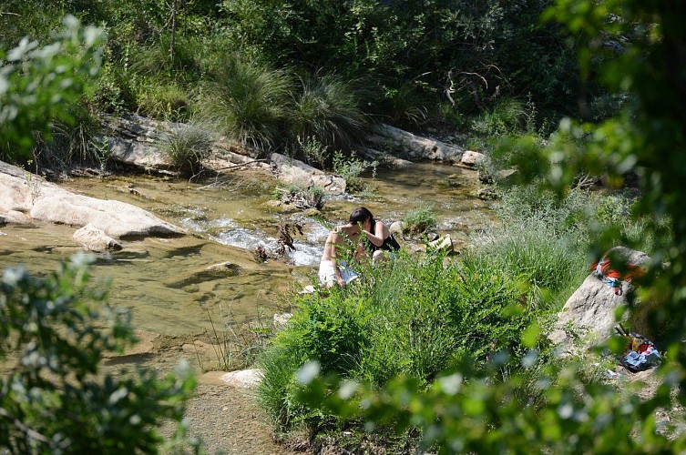 Greffeil-l'Escoubille