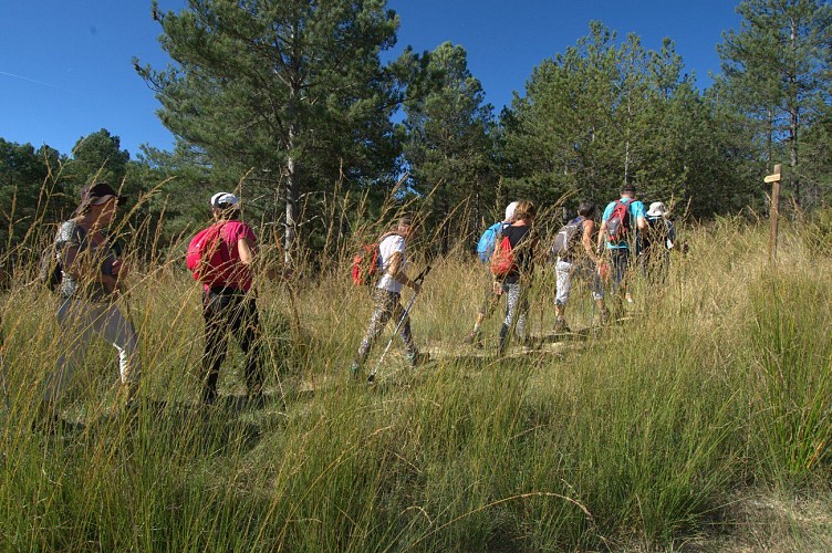 Greffeil-l'Escoubille