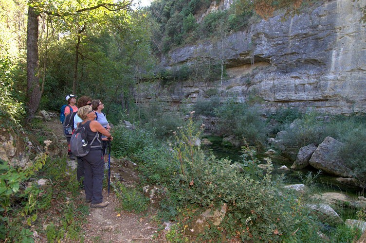 Greffeil-La Maison du Sorcier