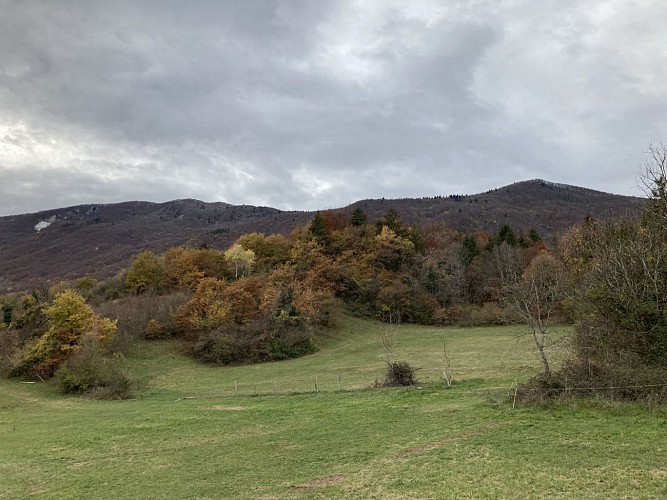 Crête col de la Sciaz
