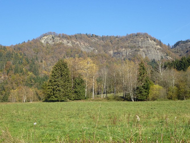 Boucle du Mont Vouan et Meulières à Vachat