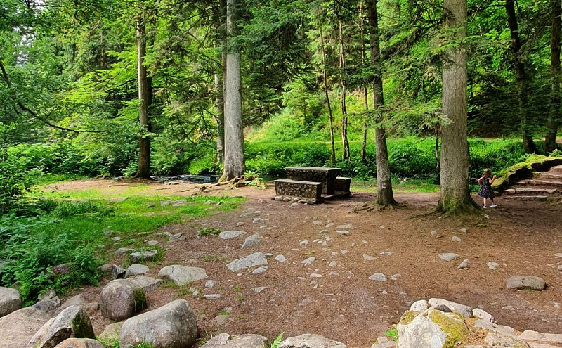 KINDERWAGENFAHRT - LES PERLES DE LA VOLOGNE