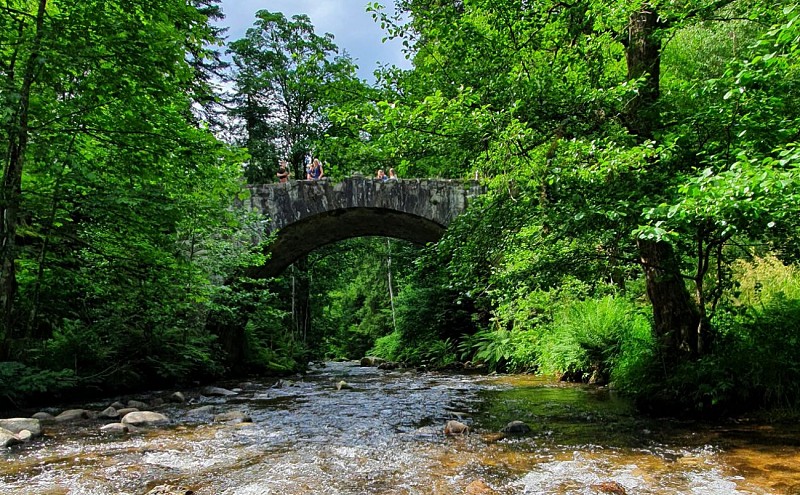 KINDERWAGENFAHRT - LES PERLES DE LA VOLOGNE
