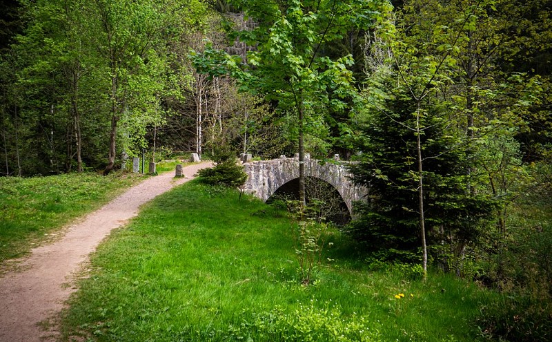 Kinderwagen walk - les perles de la vologne
