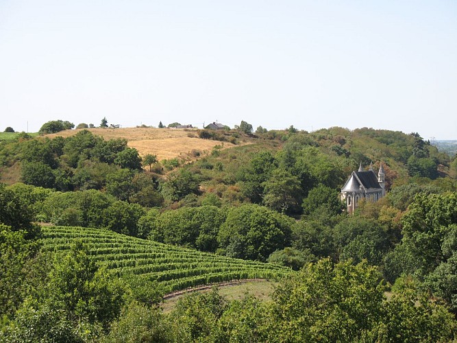 CIRCUIT VTT COMBINE N°20 + N°4 + N°21 + GR®DE PAYS + GR®3