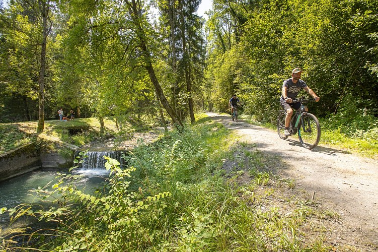 Sentier thématique du Morel