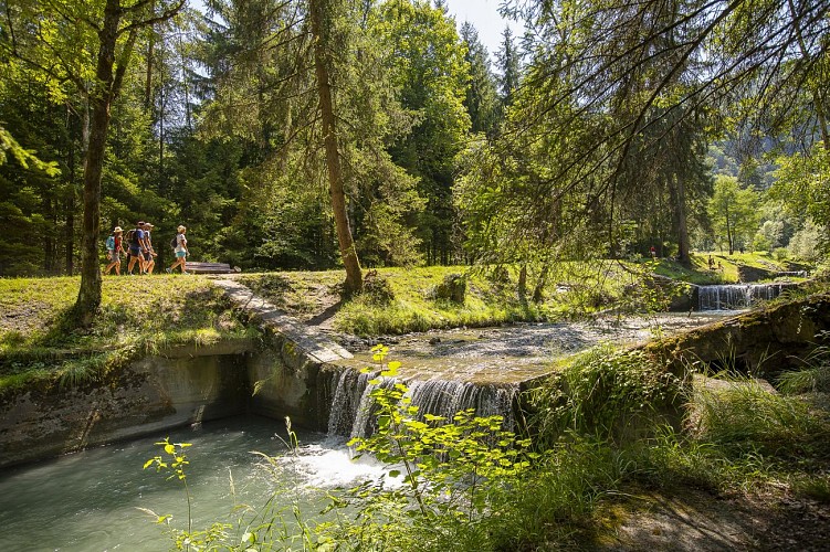 Sentier thématique du Morel