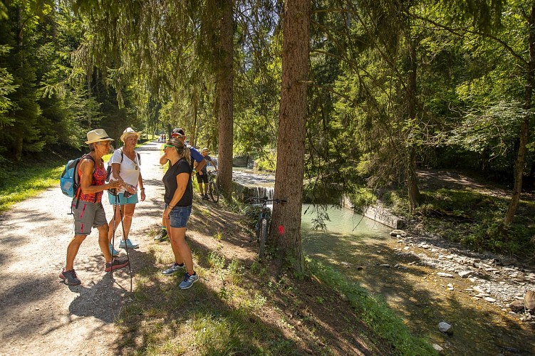 Sentier thématique du Morel