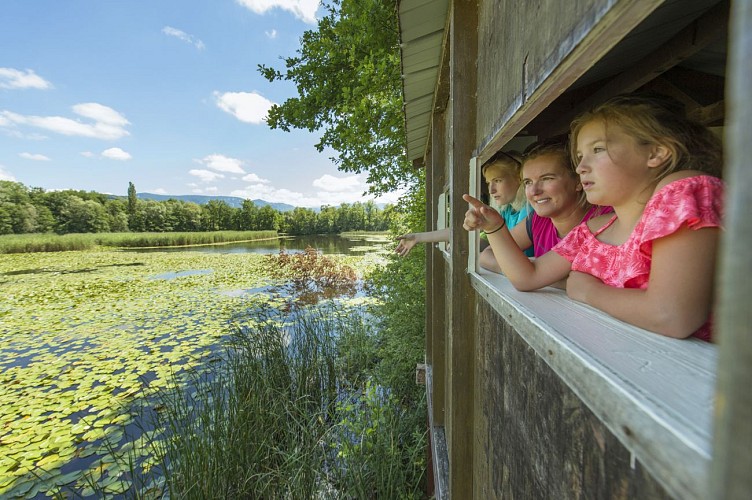 Hike to the Albens Marshlands
