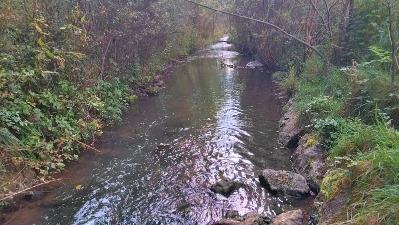 Hike to the Albens Marshlands
