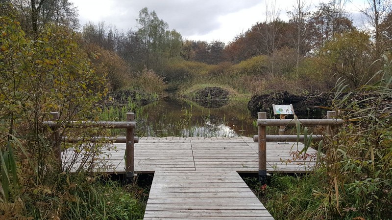 Hike to the Albens Marshlands