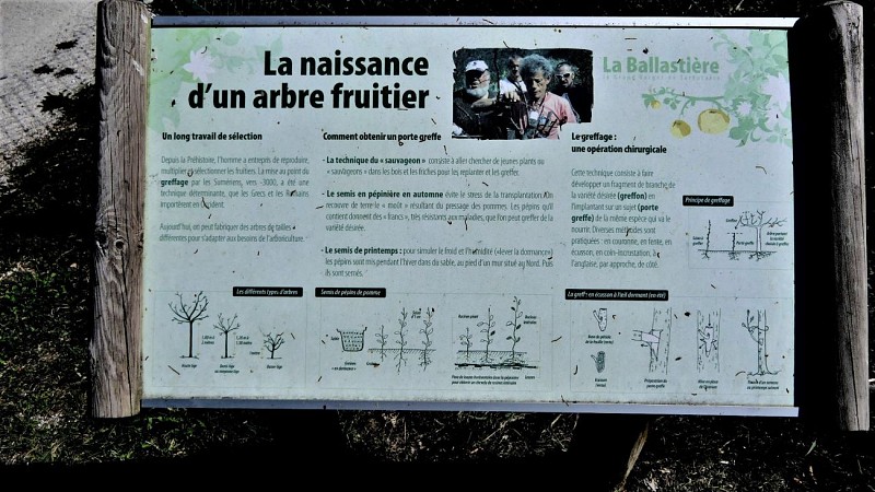 verger de la Balastière