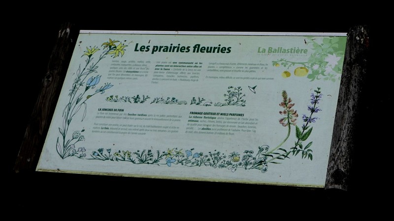 verger de la Balastière