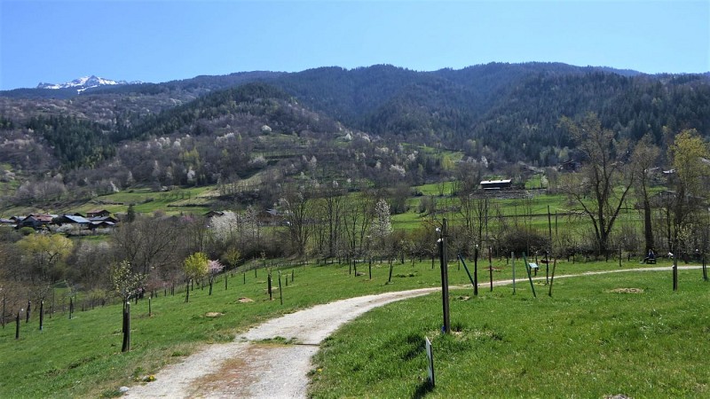 Sentier des Vergers de la Ballastière