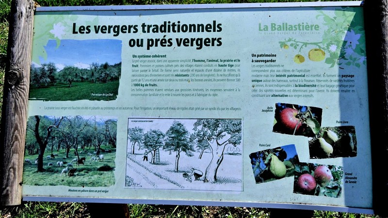Sentier des Vergers de la Ballastière