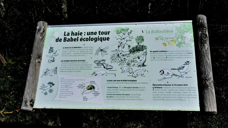 Sentier des Vergers de la Ballastière