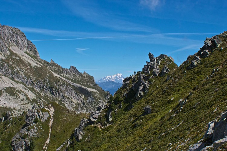 Trail Val pelouse - Les Férices