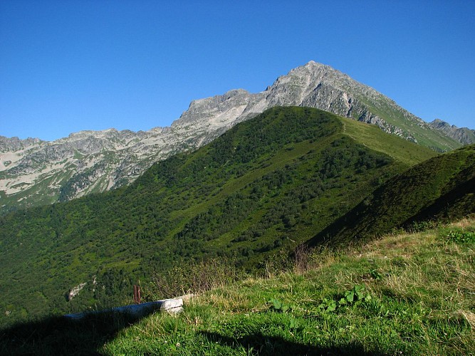 Trail Val pelouse - Les Férices