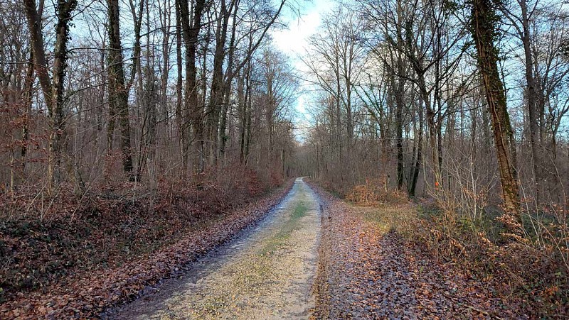 Randonnée Saint Julien | Côtes de Meuse