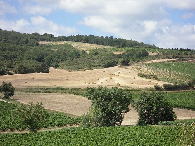 Villelongue d’Aude-Sainte Barbe