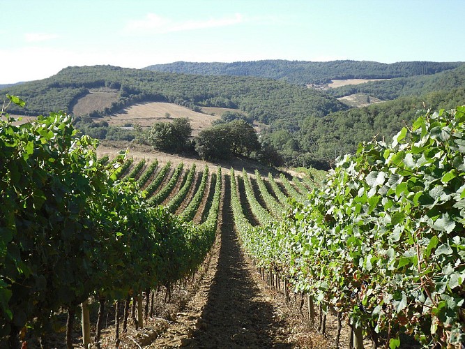 Villelongue d’Aude-Le Bayle